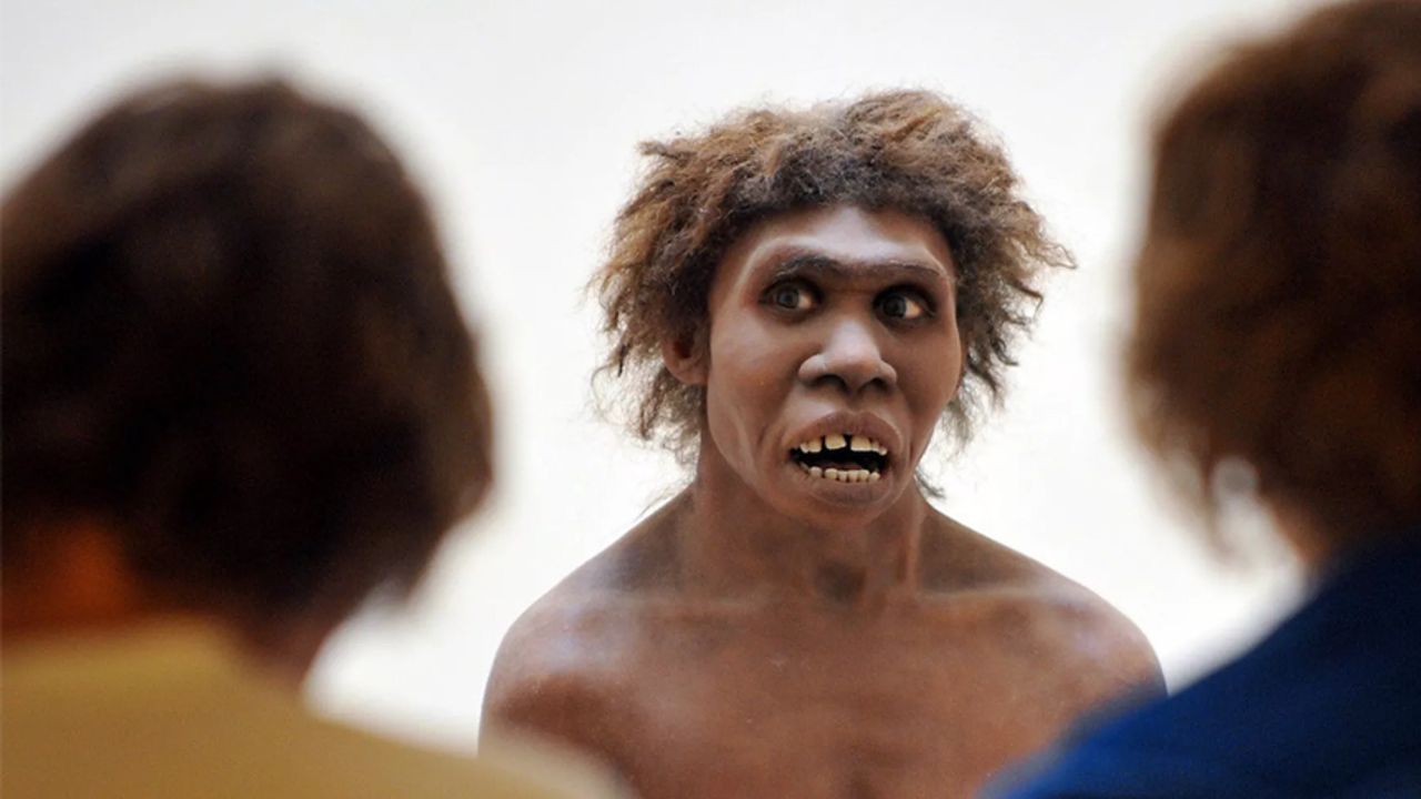 20 bin yıllık kolyede insan DNA'sı tespit edildi