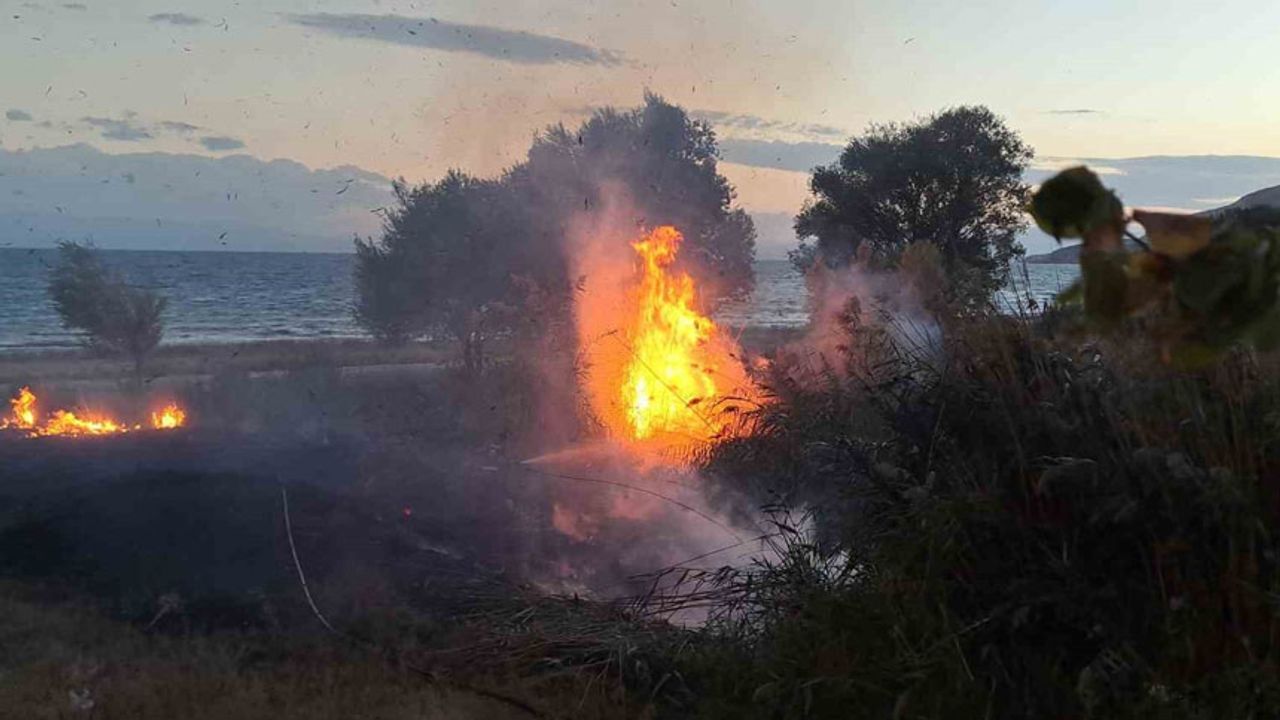 Van Gölü sahilinde sazlık yangını