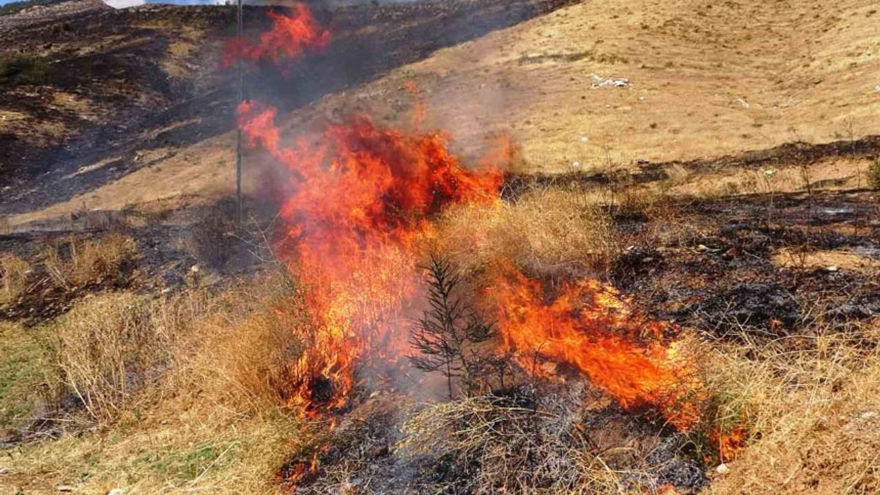 12 hektarlık alanda örtü yangını çıktı