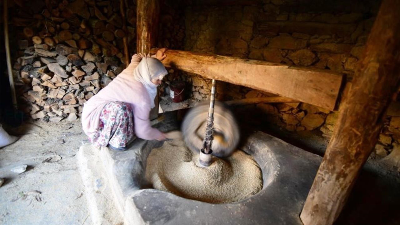 Hizan’da üretilen çeltik asırlık su değirmeninde öğütülüyor