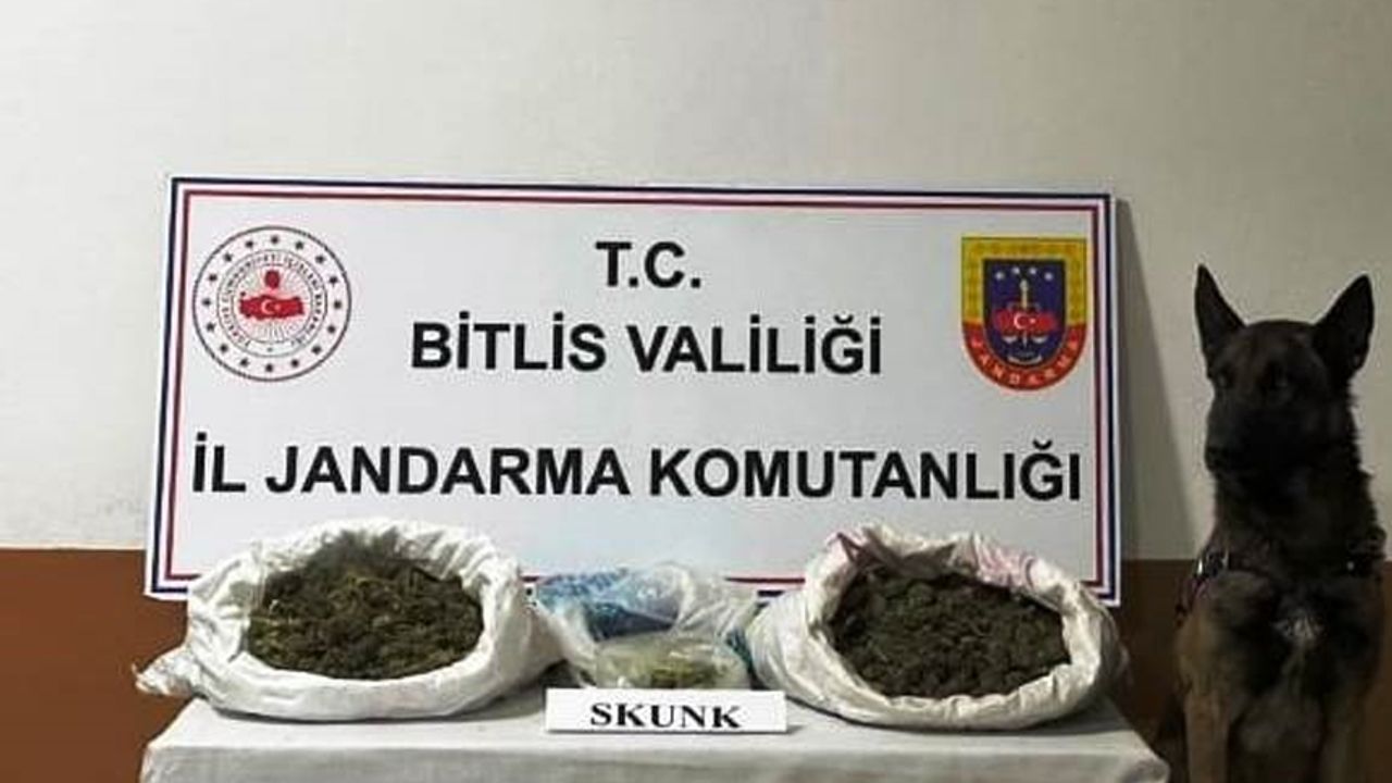 Bitlis’te 10 kilo 200 gram skunk maddesi ele geçirildi