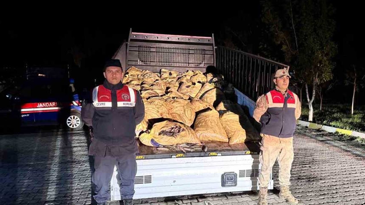 Van’da 3 ton 820 kilo kaçak avlanmış balık ele geçirildi