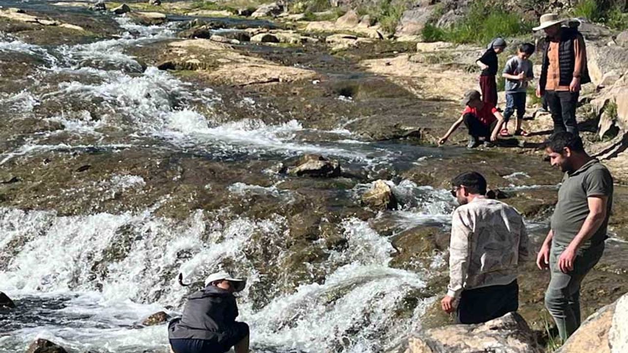 İnci kefalinin göçü yerli ve yabancı turistlerin ilgi odağı oldu