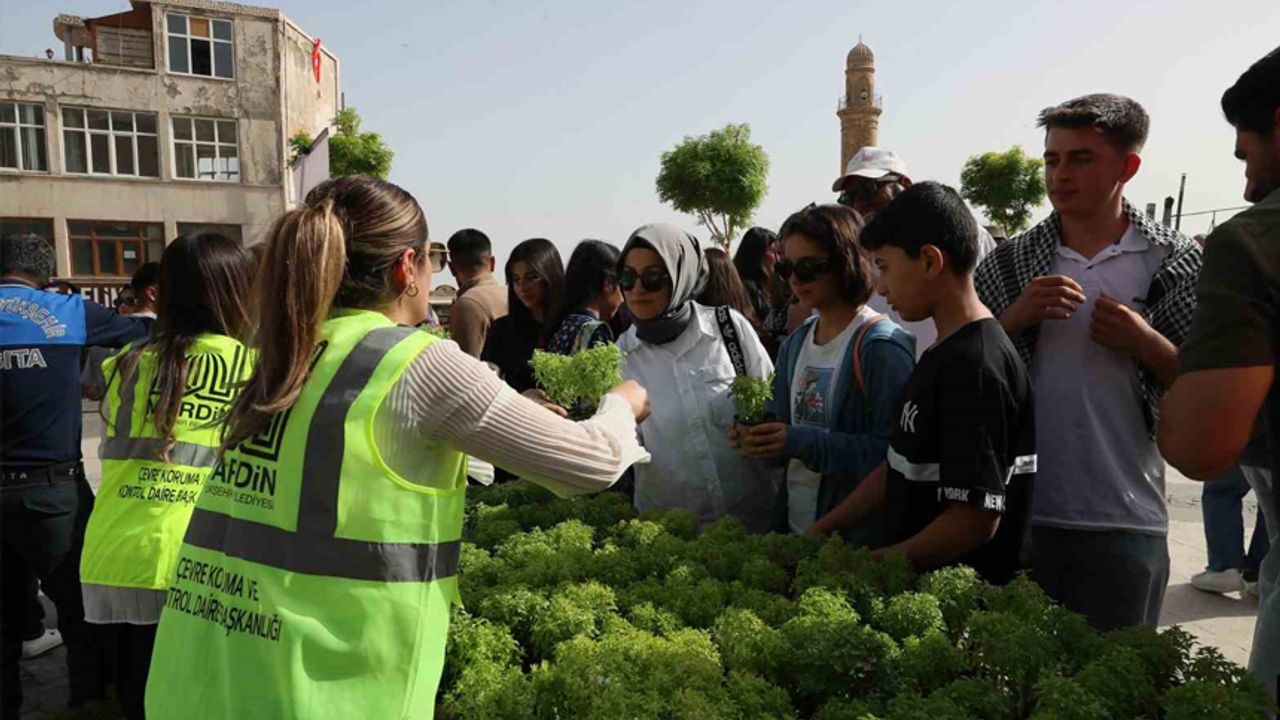 Mardin’de vatandaşlara 60 bin fesleğen dağıtıldı