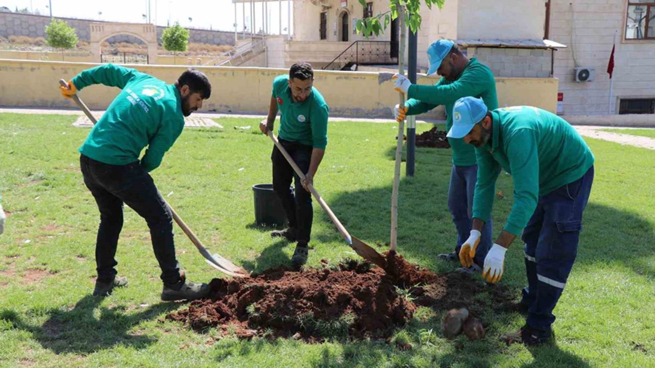 Yeşil alan çalışmalarıyla yaşamın kalitesi arttırılıyor