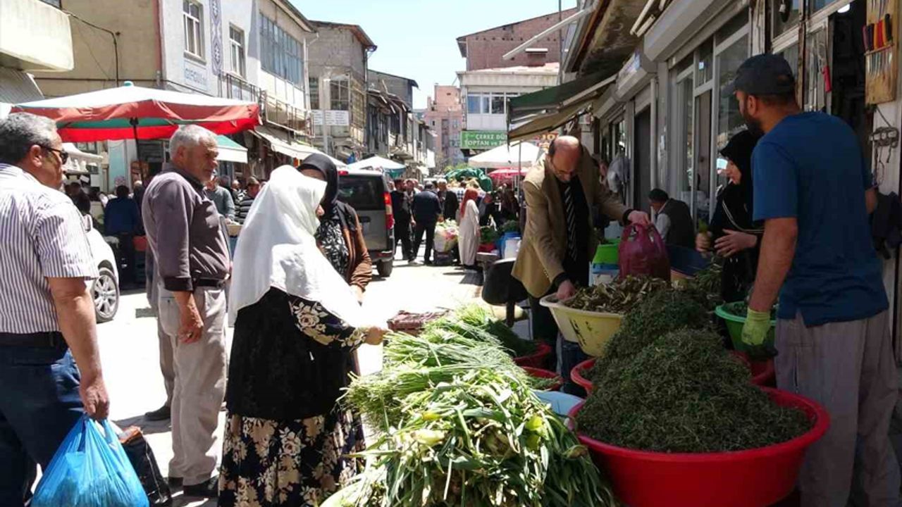 Dağlardan toplanan otlar hem şifa hem kazanç sağlıyor