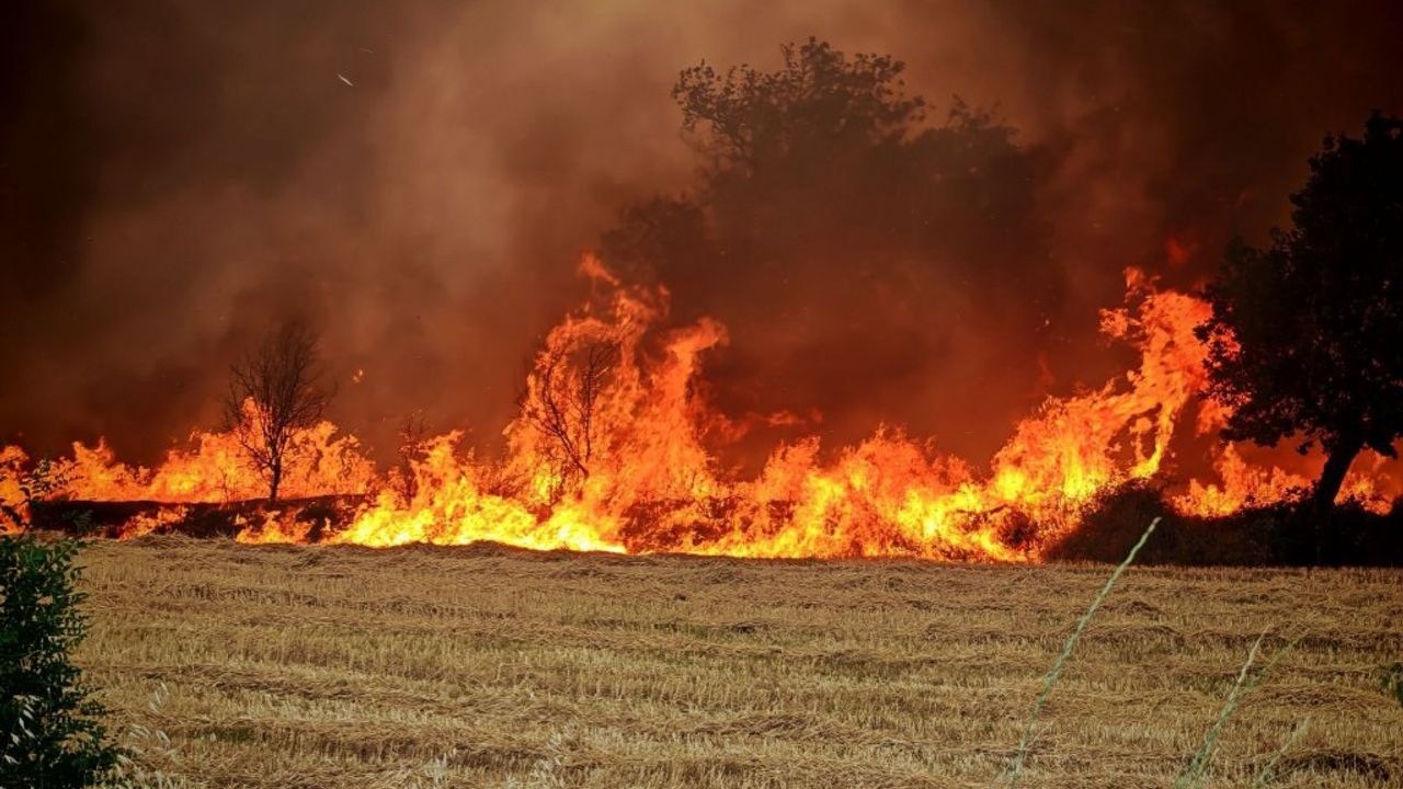 Edirne’de orman ve anız yangınında alevler metrelerce yükseldi
