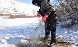 Yüksekova’da buz tutan derede kazma ve kürekli ’Eskimo usulü’ balık avı