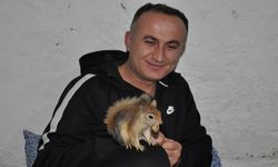 Köy öğretmeni evinde beslediği sincaba çocuğu gibi bakıyor