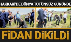 Hakkari'de "Dünya Tütünsüz Günü'nde fidan dikildi