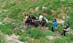 Hakkari'de dağda rahatsızlanan vatandaş ambulans helikopterle kurtarıldı