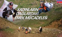 Kadınların Dağlardaki Emek Mücadelesi