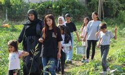 Şırnak'ın sebze ihtiyacını karşılamak için harekete geçildi