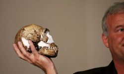 200 bin yıllık mezarlık bulundu: 'Evrime bakışı değiştirebilir'