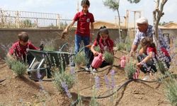 Okulda başlayan lavanta üretimi köye yayıldı