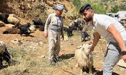Şemdinli'de kurban pazarı durgun geçiyor