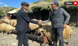 Yüksekova'da kurban pazarı durgun