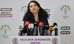 HDP ve Yeşil Sol Parti 8 bölgede halk toplantısı gerçekleştirecek