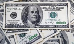Dolarda korkutan analiz! 30 TL'yi görebilir