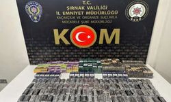 Şırnak'ta asayiş ve kaçakçılık operasyonu: 33 gözaltı
