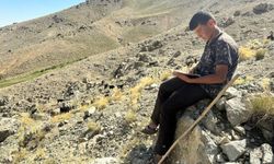 Elazığ'da çobanlık yapıyordu,  LGS'de Türkiye 2'ncisi oldu