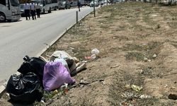 Yüksekova'nın tarihi yolu çöplere teslim oldu