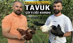 Yüksekova’da girişimci öğretmenler tavuk çiftliği kurdu