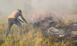 Bingöl'deki yangın 5 gündür devam ediyor: 'Havadan müdahale lazım'