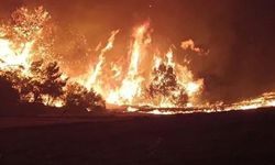 Çanakkale yangını rüzgarın etkisiyle yeniden alevlendi