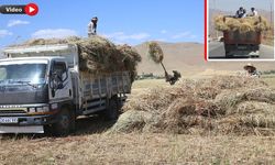 Yüksekova’da besiciler kış hazırlığına başladı