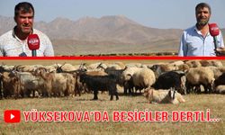 Yüksekova’da besiciler dertli