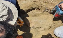 300 bin yıllık fosil keşfedildi: Bilinmeyen bir insan türüne mi ait?