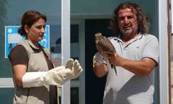 Gökdoğan kuşu tedavisinin ardından özgürlüğe kanat çırptı