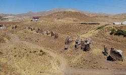 Yüzlerce yıllık ’Nemrut Develeri’ bir bir yok oluyor