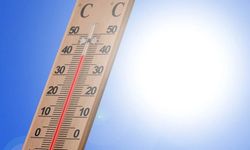 Meteoroloji'den sıcaklık uyarısı: Mevsim normallerinin üzerine çıkacak