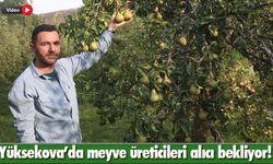 Yüksekova'da meyve üreticileri alıcı bekliyor!