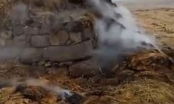 Erciş’te yıldırım düştü, 3 bin bağ ot yandı