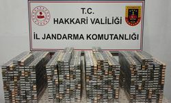 Hakkari’de kaçakçılık operasyonu