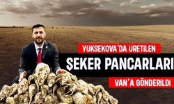 Yüksekova’da üretilen şeker pancarları Van’a gönderildi
