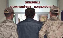 Şemdinli'de kaçak göçmen operasyonunda 1 gözaltı