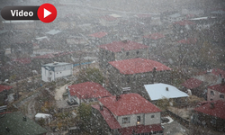 Yüksekova’nın şehir merkezine mevsimin ilk karı yağdı
