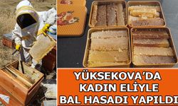 Yüksekova’da kadın eliyle bal hasadı yapıldı