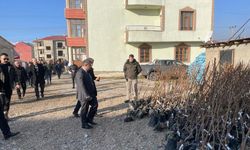 Yüksekova'da çiftçilere meyve fidanı dağıtıldı