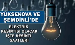 Yüksekova ve Şemdinli'de elektrik kesintisi olacak