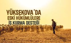 Yüksekova’da eski hükümlülere iş kurma desteği