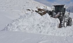 Kardan kapanan köy yollarında hummalı çalışma