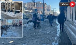 Yüksekova'da kar çileye döndü