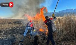 Yüksekova'da Nehil Sazlığı'ndaki yangına müdahale ediliyor