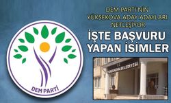 DEM Parti'nin Yüksekova aday adayları netleşiyor: İşte başvuran isimler