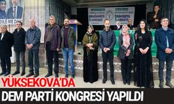 Yüksekova'da DEM Parti kongresi yapıldı